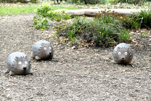 Foto: ©Rainer Bresslein