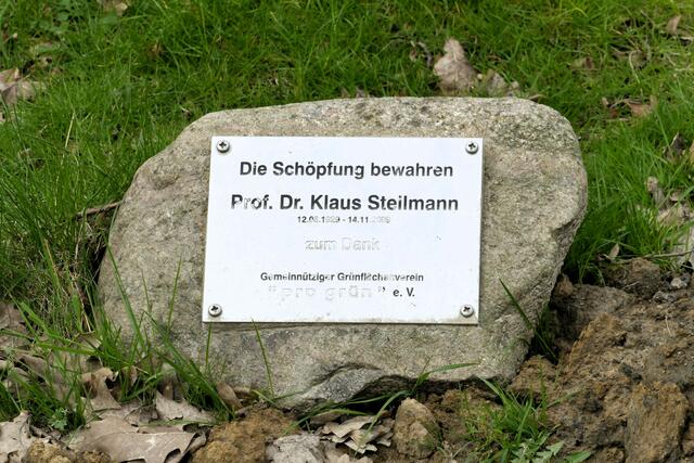 Foto:  ©Rainer Bresslein