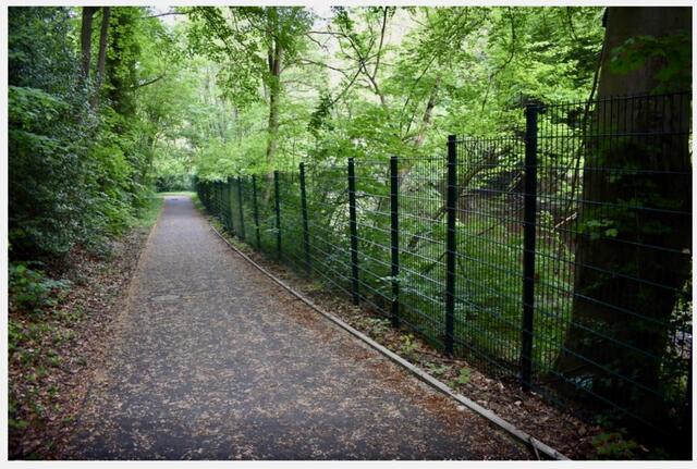 Hiltroper Park - Zäune am Schwanenteich 2024