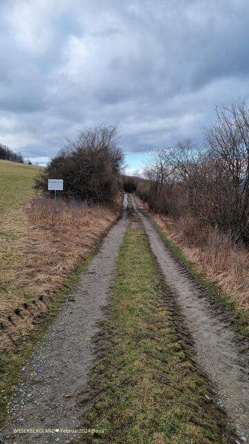 wege gehen ...teilweise sehr matschig