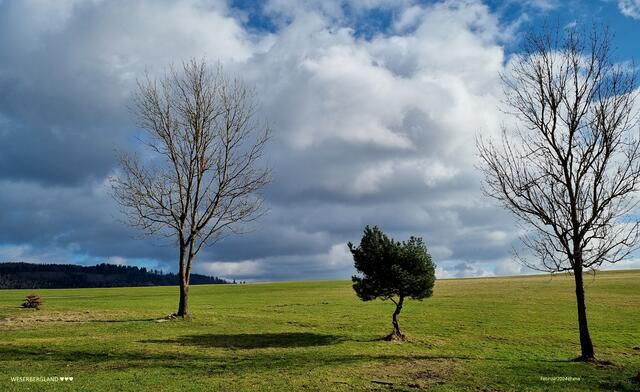 Schatten soooo schön... Sonne Mitte Februar 2024 @ana´
Weserbergland