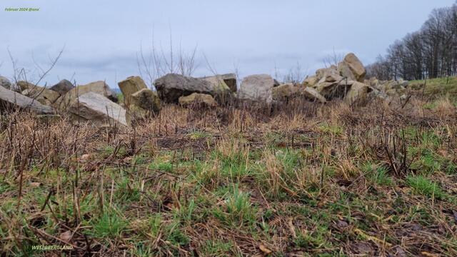 Steine ... am Wegesrand