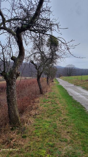 immer geradeaus!
Februar 2024@ana´