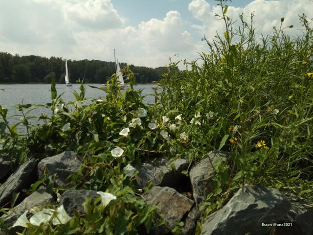 hübsch, oder :-))))
2021@ana´