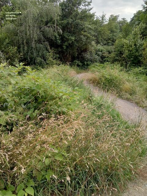 ...irgendwo in Essen-Kupferdreh´....
2021