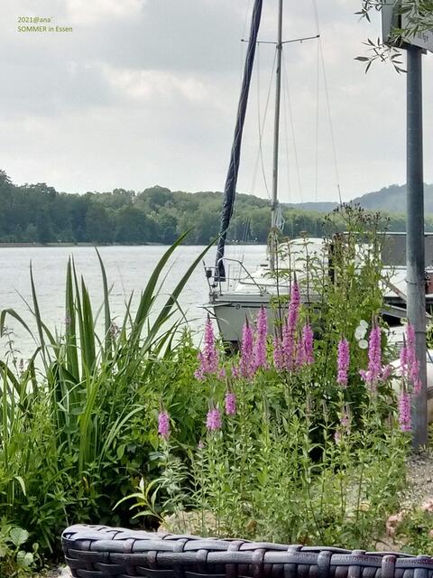 FARBEN ... chillen am SEE♥