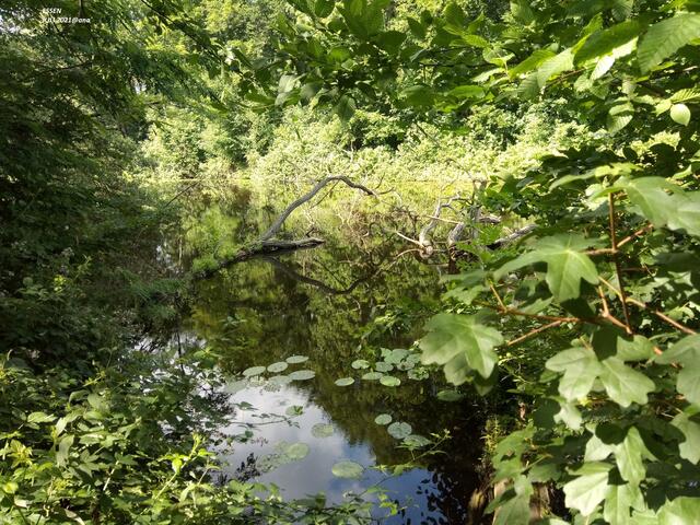 bizarres´ Wirrwar´.... aber schön
Essen-2021@ana´ 