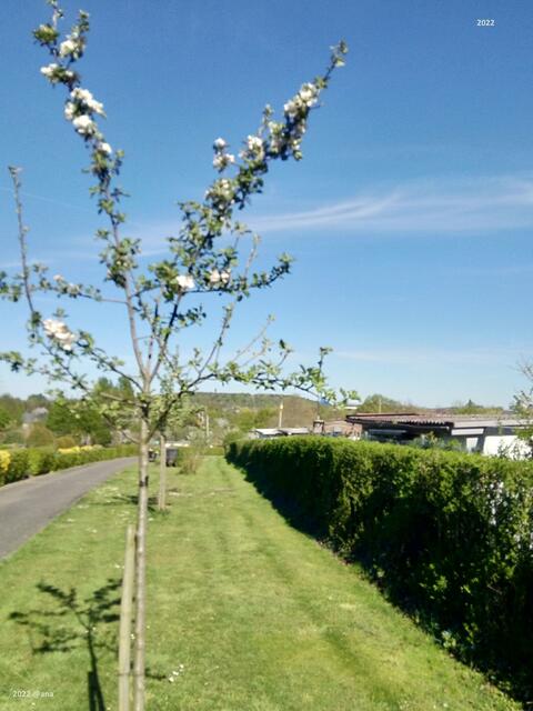 im Hintergrund SCHURENBERGHALDE ....