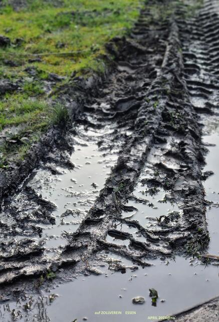 igggiiittt! 
Regen auf Zollverein Essen