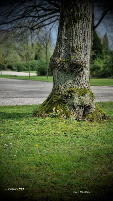 stille Friedhofslandschaft