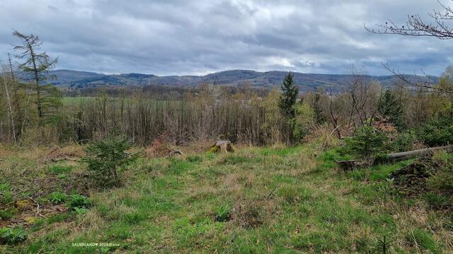 ...ein wenig Übersicht :-))))))))))))))))