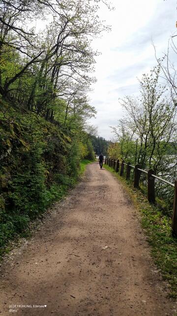 es grünt so grün ...