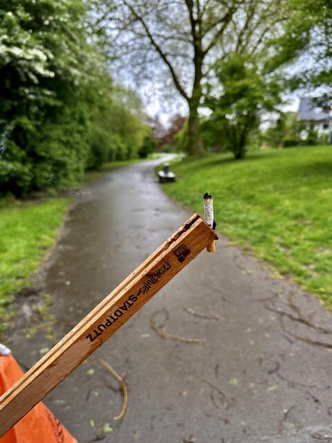 Diese Kippe qualmte noch | Foto: Sonja Hasenkamp