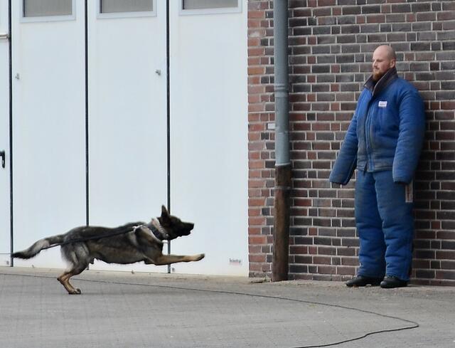 Ein Ratschlag: Hier besser regungslos stehen bleiben | Foto: Horst Nauen
