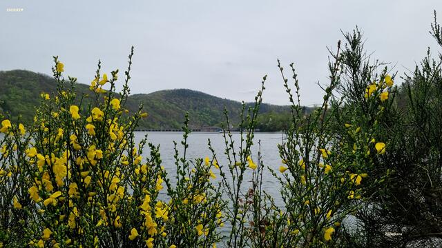 G E L B ! 
SUNSHINE :-)

2024@ana´