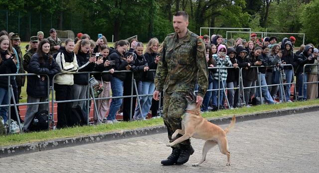 Diensthundewesen: Spürhund für Sprengstoff und Munition | Foto: Horst Nauen