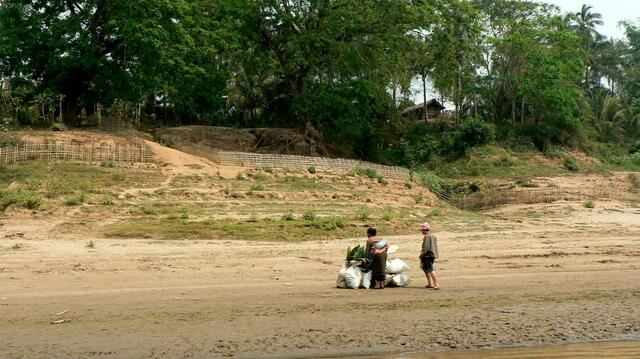 Anhalteree am Mekong 