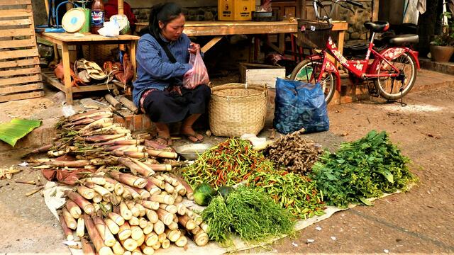 Bambussprossen auf dem Markt 
