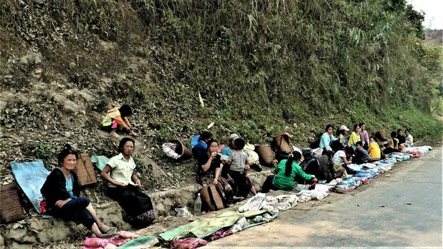 Bambussprossen Verkauf 