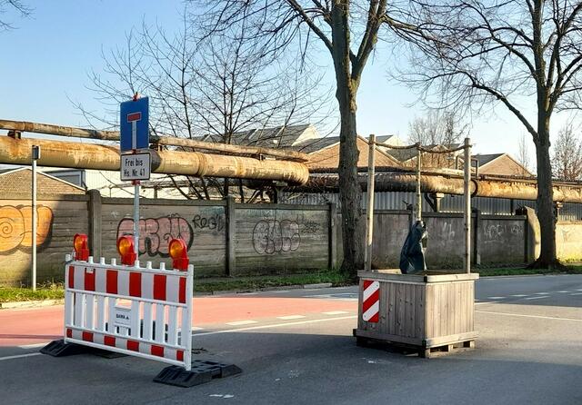 BÄUMCHEN IM KÜBEL mit Wassersack