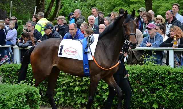 Shagara im Führring | Foto: Horst Nauen