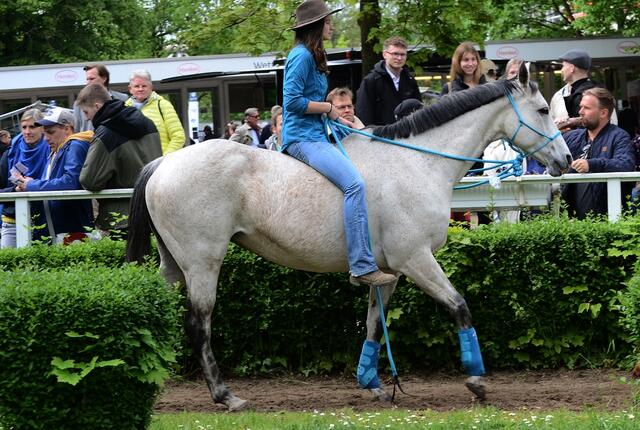 Distanzreiten - am liebsten Gebisslos 
