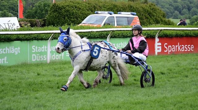 Sieger im Mini-Traber Rennen: Cornelius und Lara im Sulky | Foto: Horst Nauen