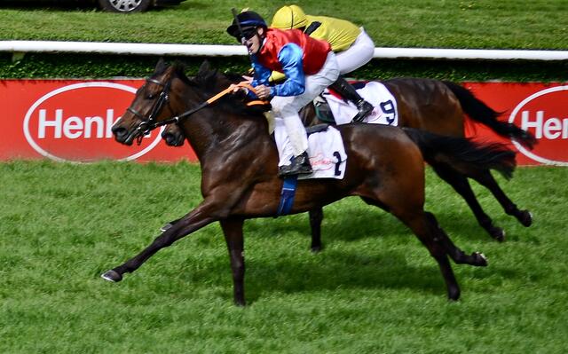 Finalkampf zwischen Shagara (vorne) &amp; Sattwaa | Foto: Horst Nauen