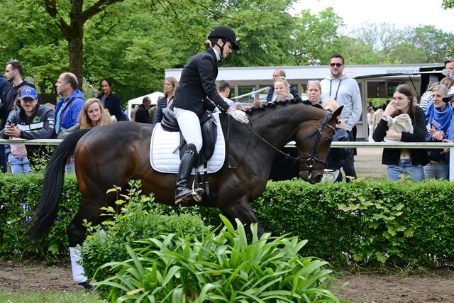 Dressur und Vielseitigkeit Kl. L | Foto: Horst Nauen