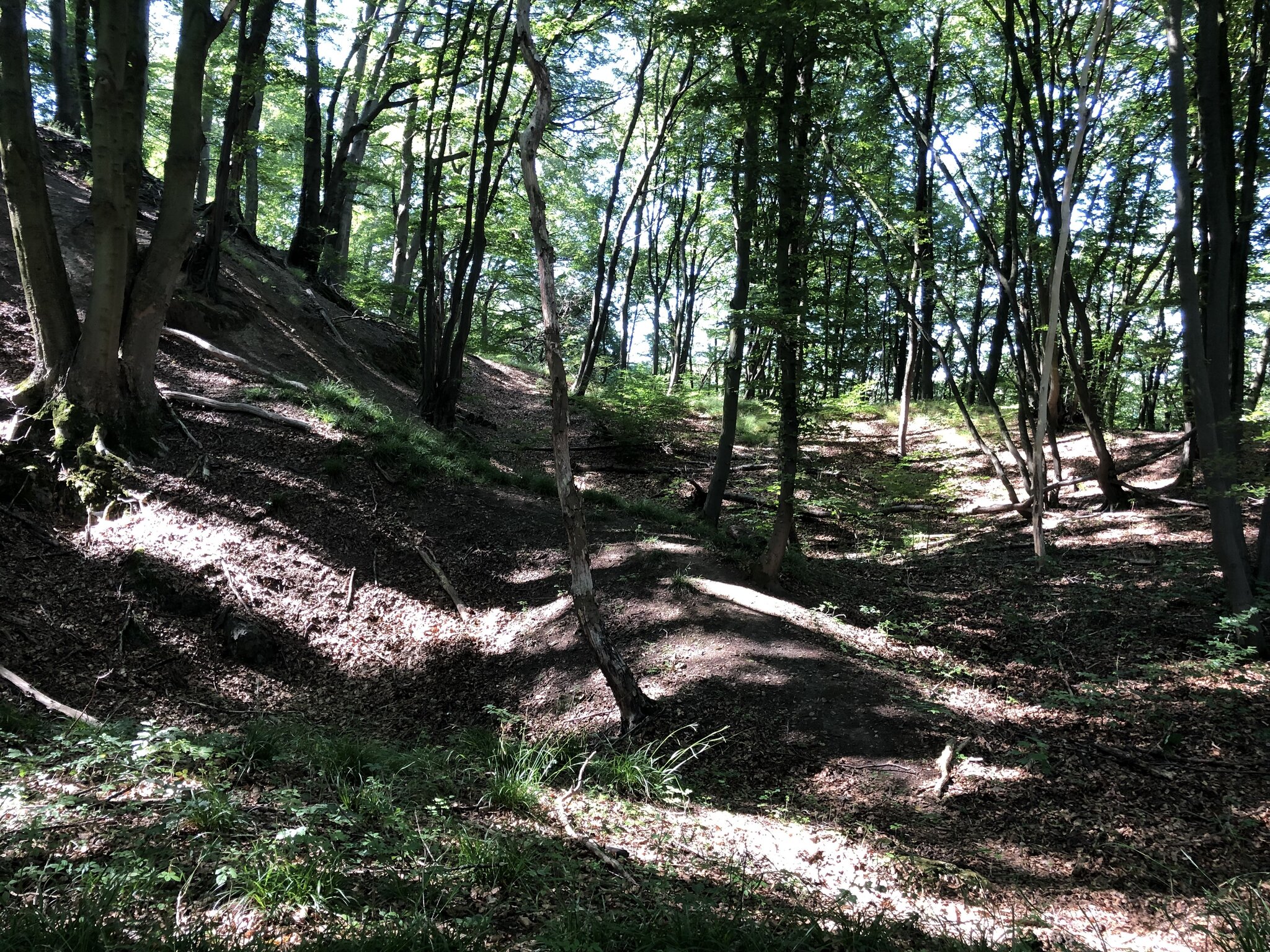 Vier geführte Touren im Angebot Ennepetal startet in die Wandersaison