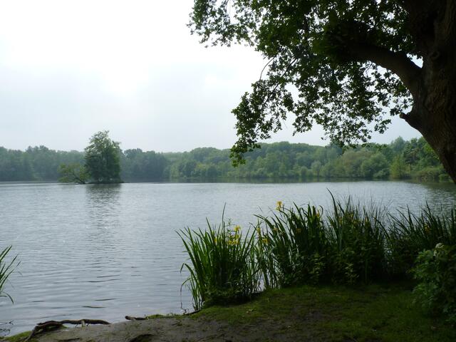 Bei dem See der im Jahr 1976 angelegt wurde, handelt es sich um einen Stausee, der dem Hochwasserschutz dient.

