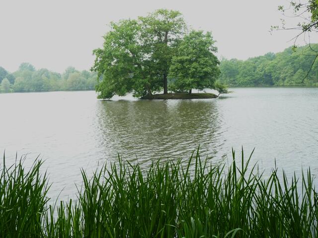  das Anlegen des Rotbachsees konnte dazu beitragen die Gefahr der Überschwemmungen zu regulieren,
da der Rotbach unberechenbar und kräftig über die Ufer treten konnte.