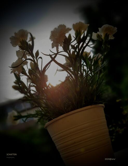 SCHATTEN ... überall´auf dieser Erde´?!?