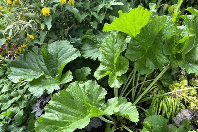 Foto: © Margot Klütsch