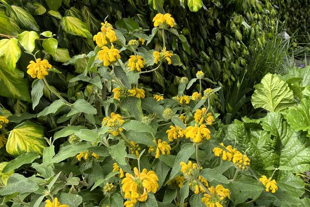 Foto: © Margot Klütsch