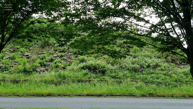 .... Mauerwerk immer mal´ wieder ... zugewachsen´ im ERINPark