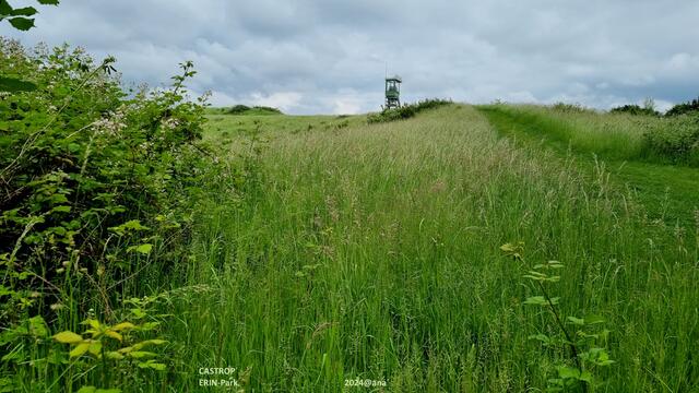 GRÜNES Castrop´♥