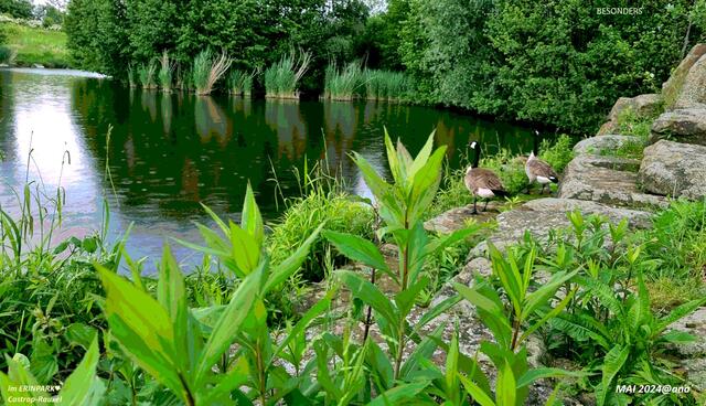 noch einmal ein wenig "bearbeitet" :-))))