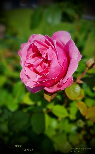 DANKE für die Einladung ♥

Mai 2024@ana´