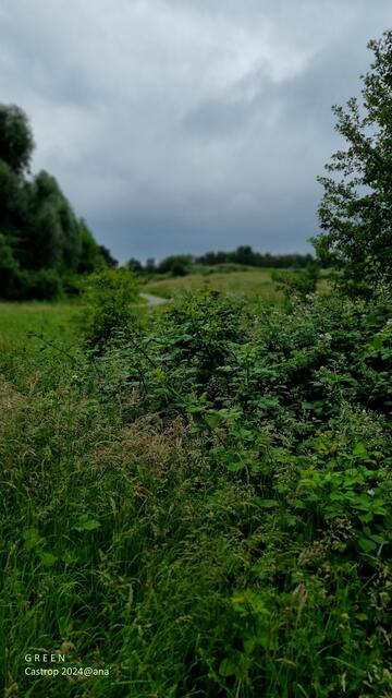 erstanlich GRÜN hier....