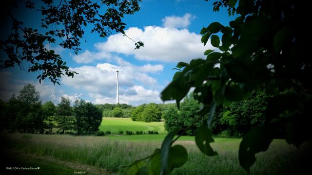 IDYLLE ♥
2024@ana´