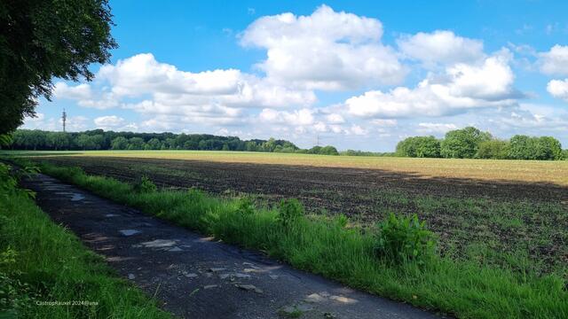 LIKE it here -)

2024 CastropRauxel/Dortmund