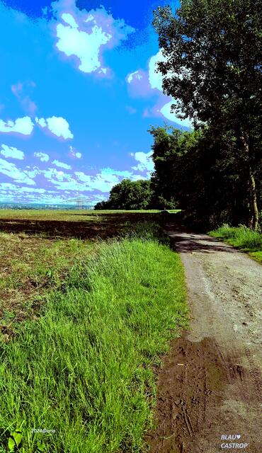 irre grün-blau-Gestaltung ♥