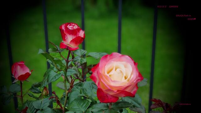 auch sehr sehr schön :-)