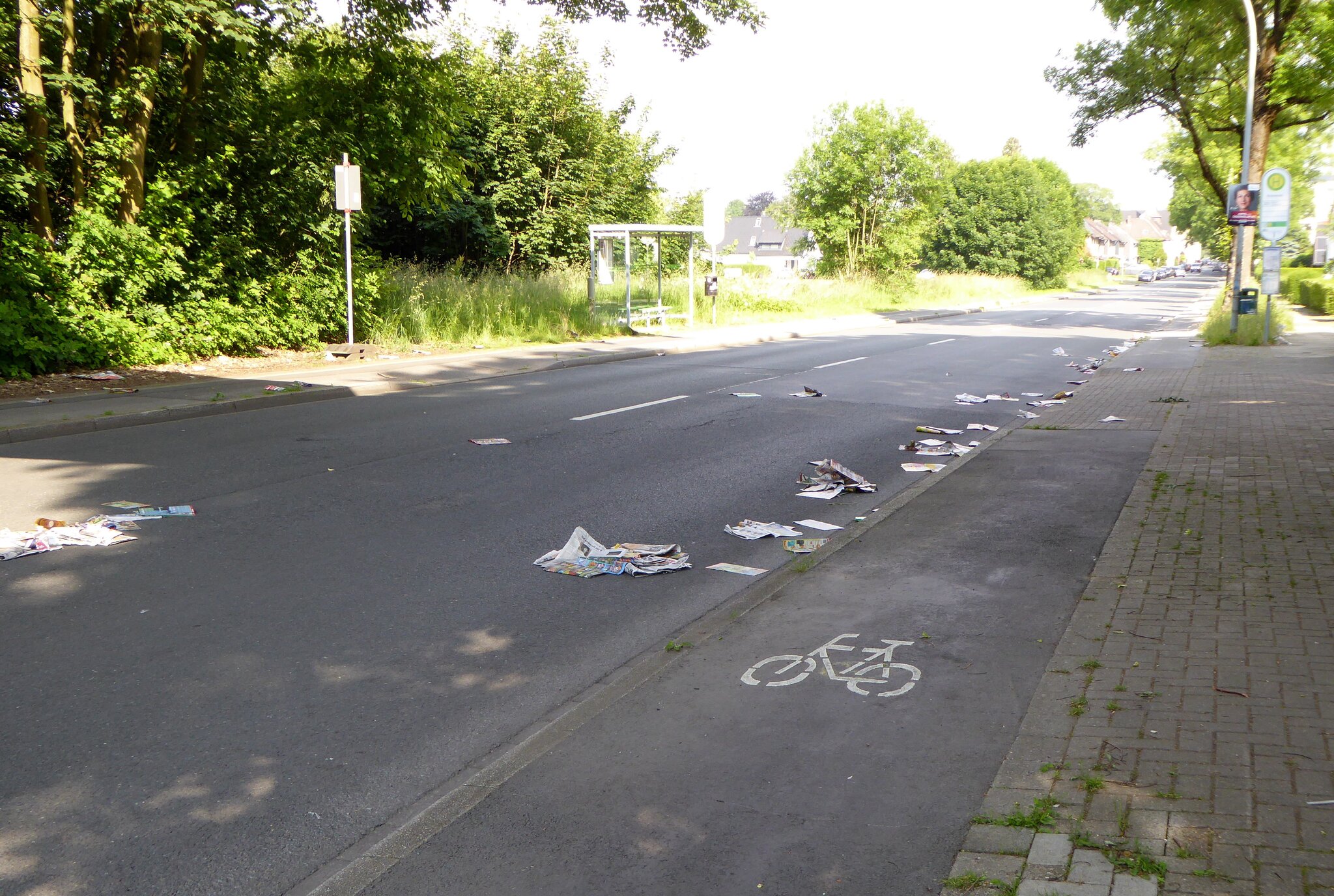 Zeitungen,Werbeblätter, Wald,Restaurant,Blätter: Lose Blättersammlung