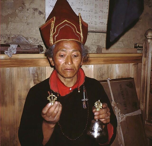 Rotmützenlama Tenzing 