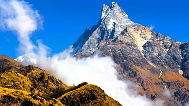 Der Matschaptschare, Fischschwanz