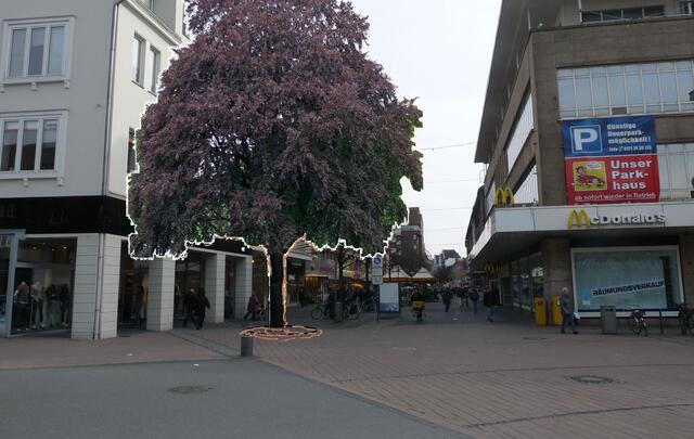 Neuer Baum am Stadteingang 