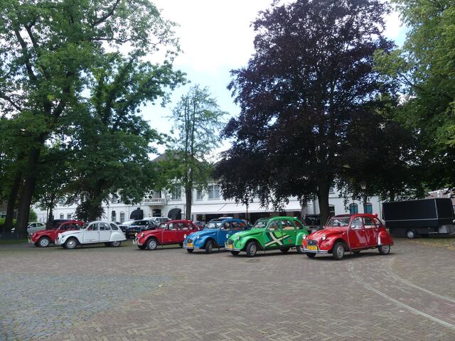 Ententreff am Marktplatz