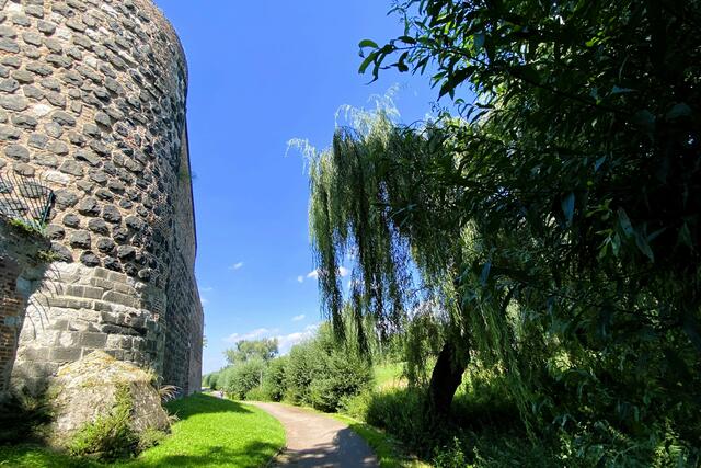 Der Spazierweg auf dem ehemaligen Treidelpfad zwischen Stadtmauer und Rheinauen. | Foto: ©Margot Klütsch
